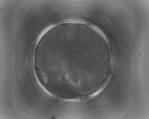 X0000084520855200702231133