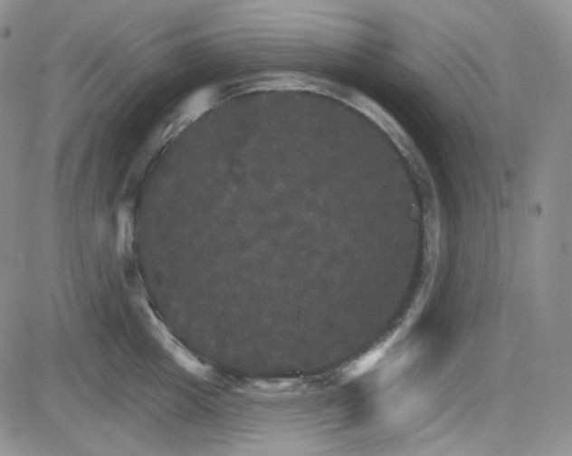 X0000084520857200702231133