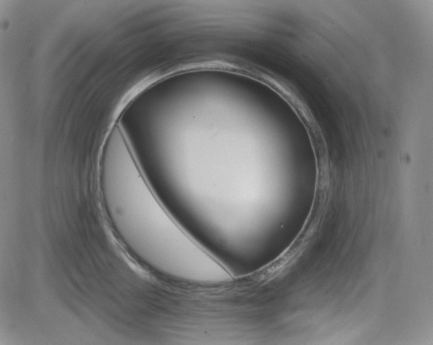 X0000084520858200702231133