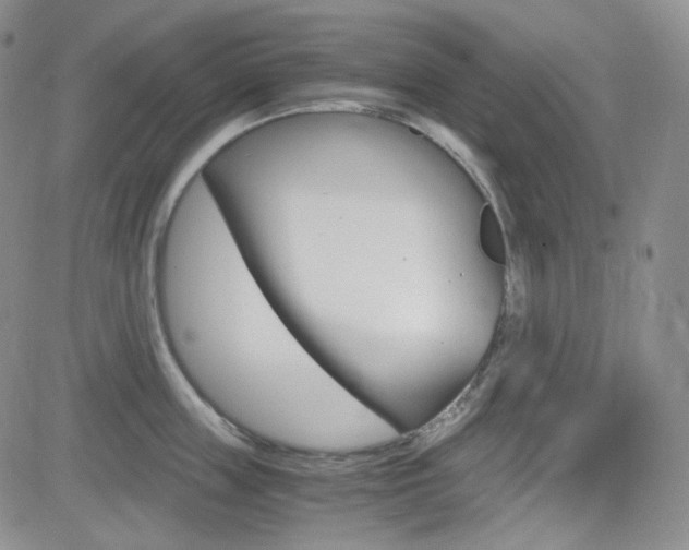 X0000084520859200702231133