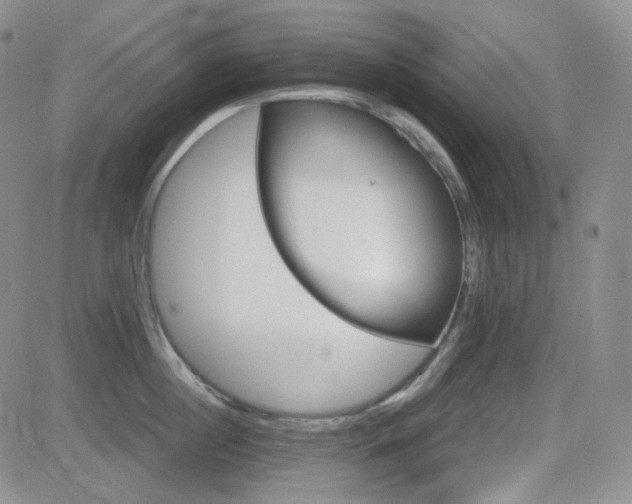 X0000084520860200702231133