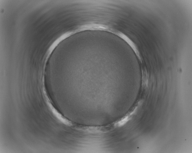 X0000084520861200702231133