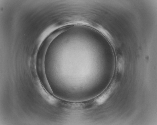 X0000084520862200702231133