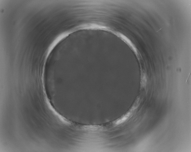 X0000084520863200702231133