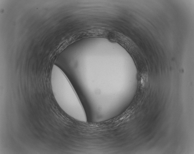 X0000084520867200702231132