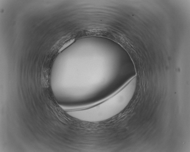 X0000084520868200702231132