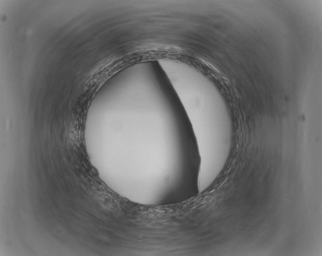 X0000084520869200702231132