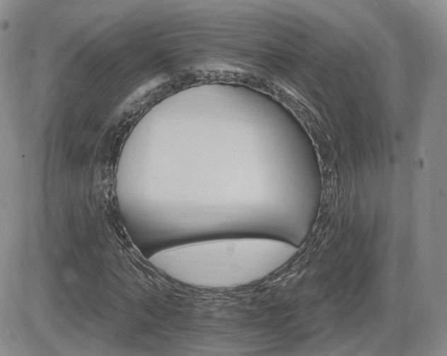 X0000084520870200702231132