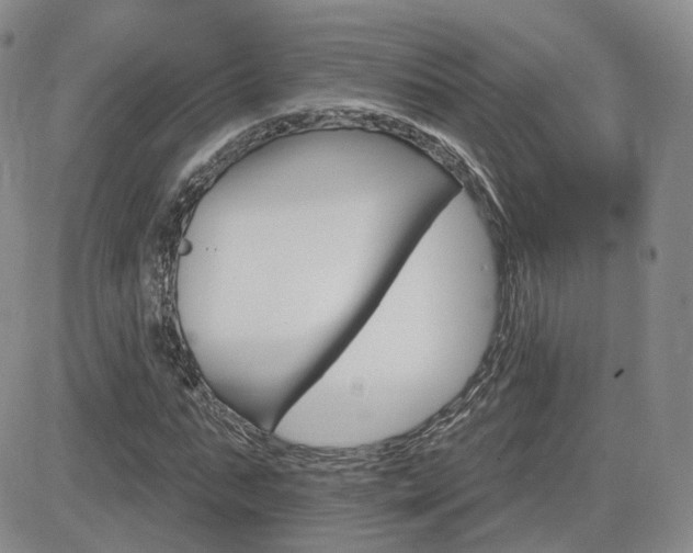 X0000084520871200702231132