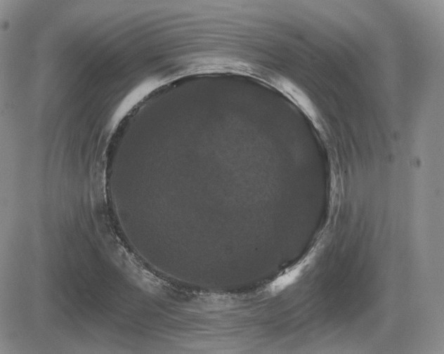 X0000084520877200702231132