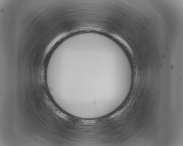 X0000084520878200702231132