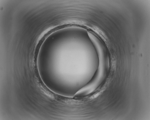 X0000084520880200702231132