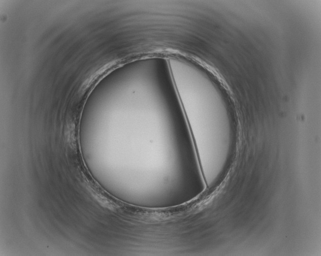 X0000084520881200702231132