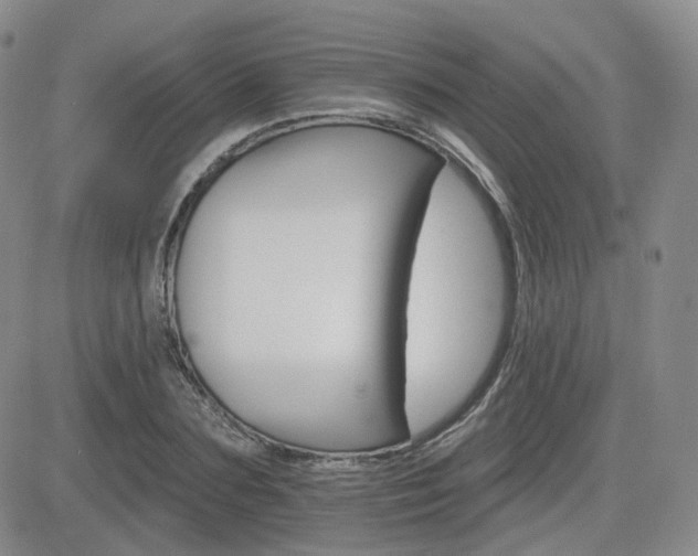 X0000084520883200702231132