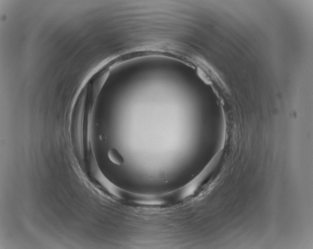 X0000084520884200702231132