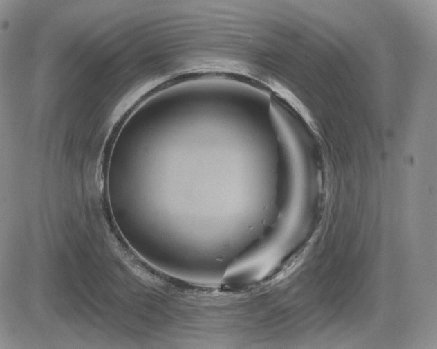 X0000084520885200702231132