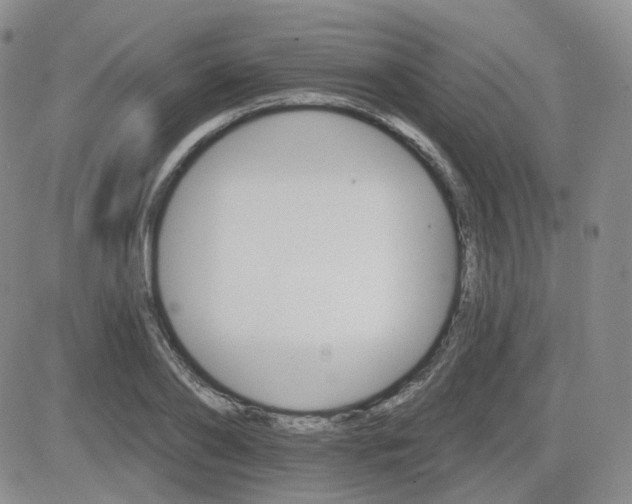 X0000084520886200702231132