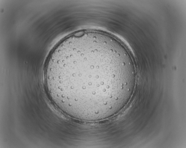 X0000084520887200702231132