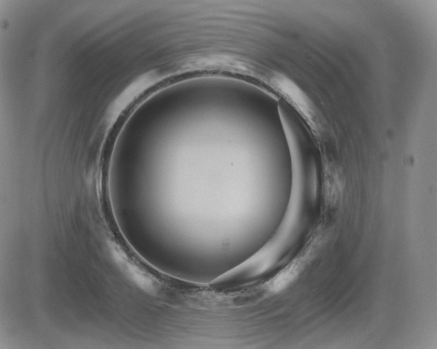 X0000084520888200702231132