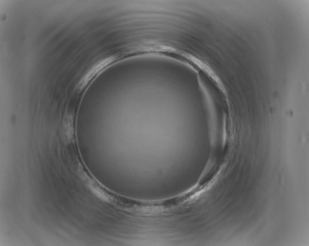 X0000084520889200702231132