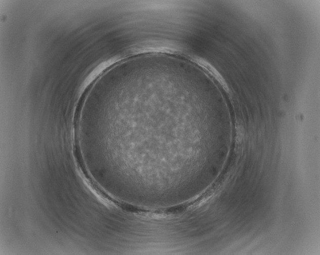 X0000084520890200702231132