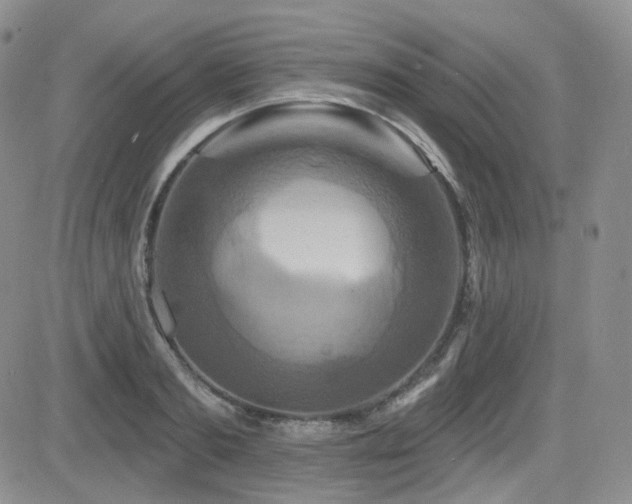 X0000084520893200702231132