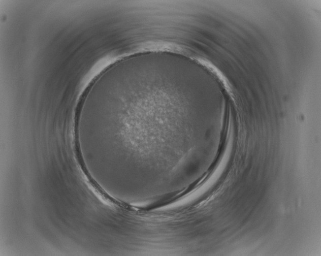 X0000084520894200702231131