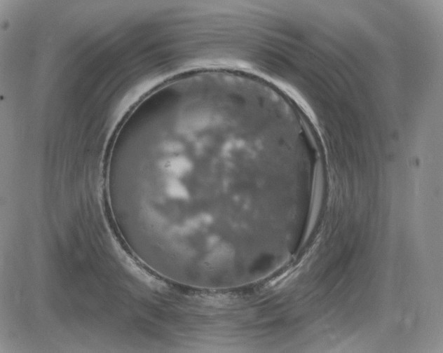 X0000084520895200702231131