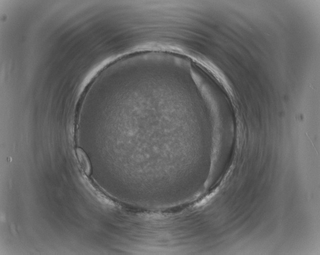 X0000084520896200702231131