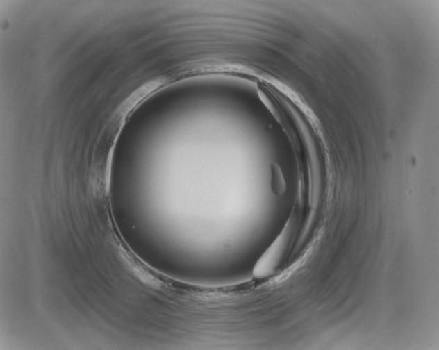 X0000084520897200702231131