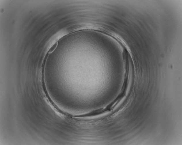 X0000084520898200702231131