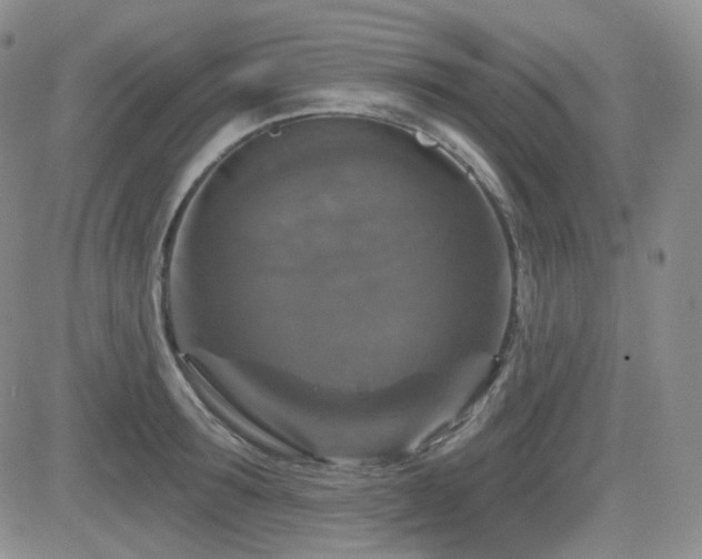 X0000084520899200702231131