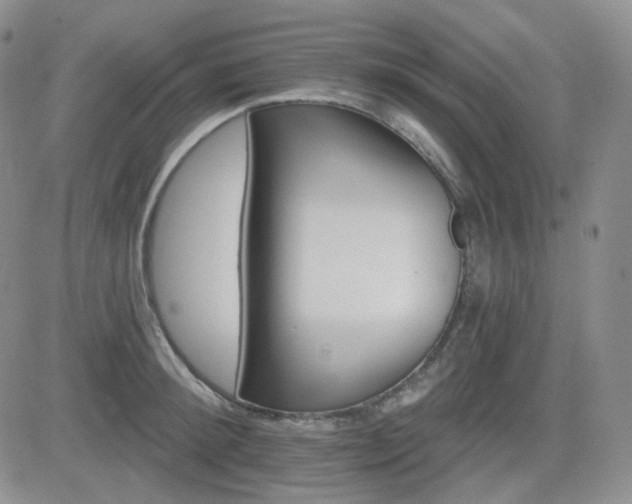 X0000084520900200702231131