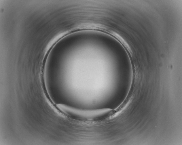 X0000084520901200702231131