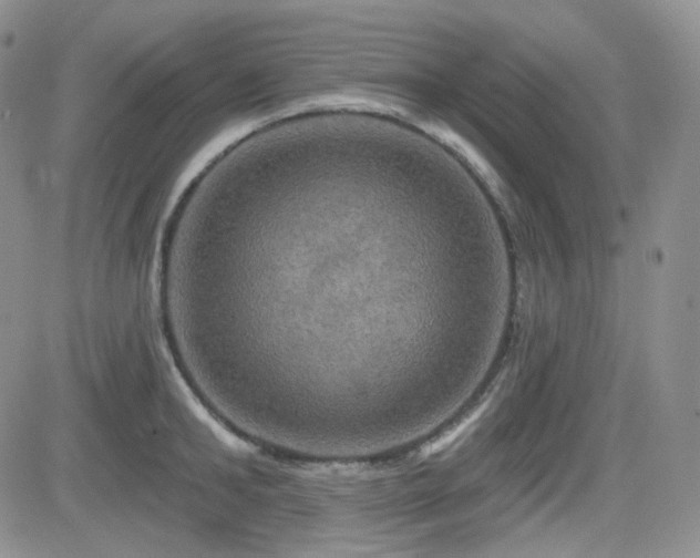 X0000084520902200702231131