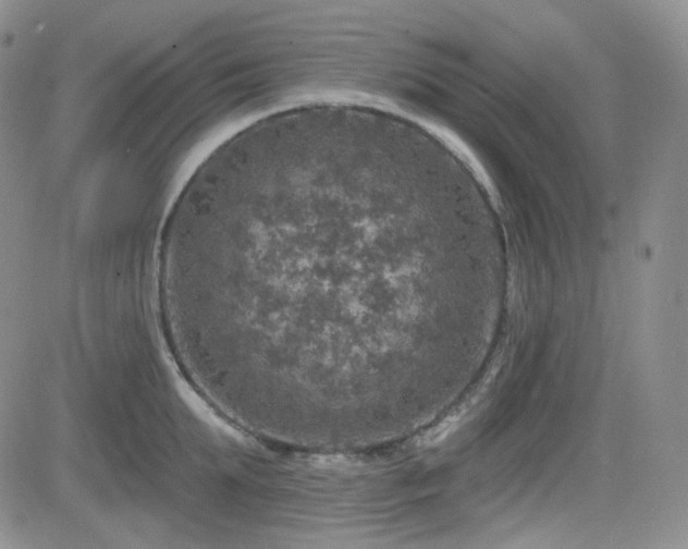 X0000084520903200702231131