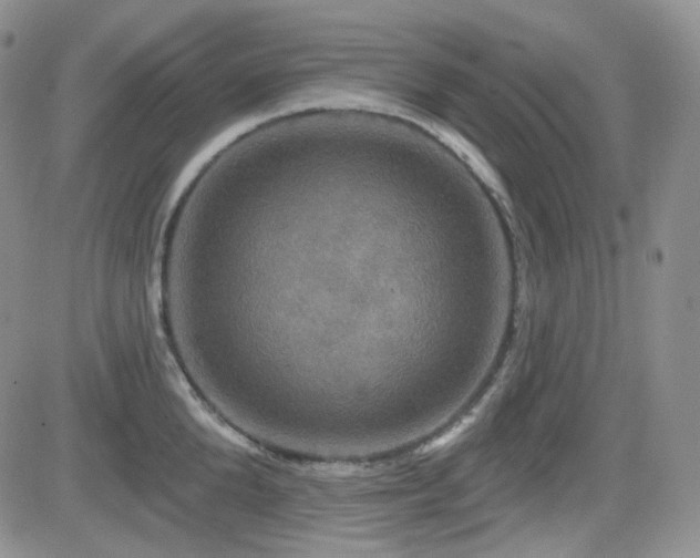 X0000084520904200702231131