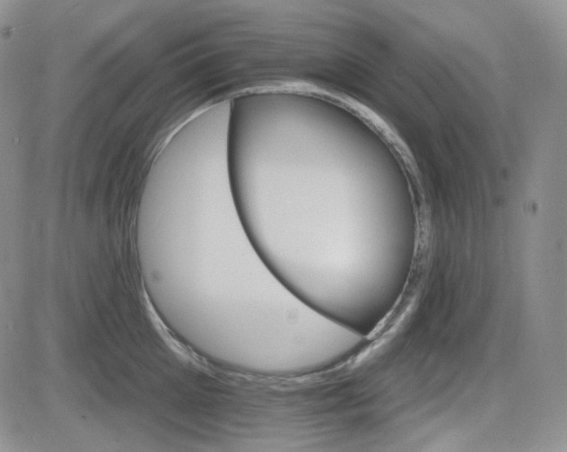 X0000084520905200702231131