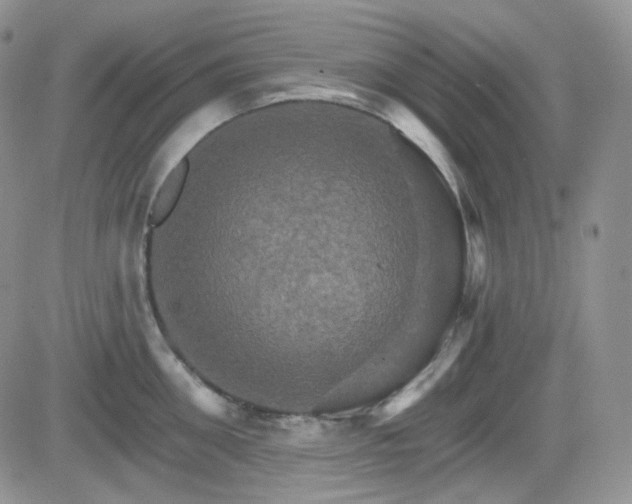 X0000084520906200702231131