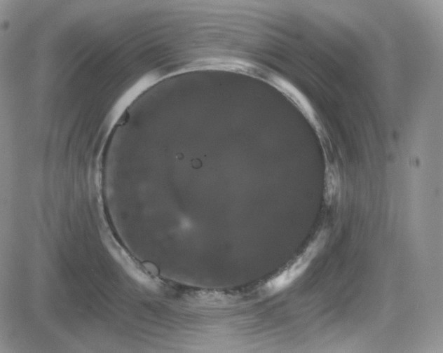 X0000084520907200702231131