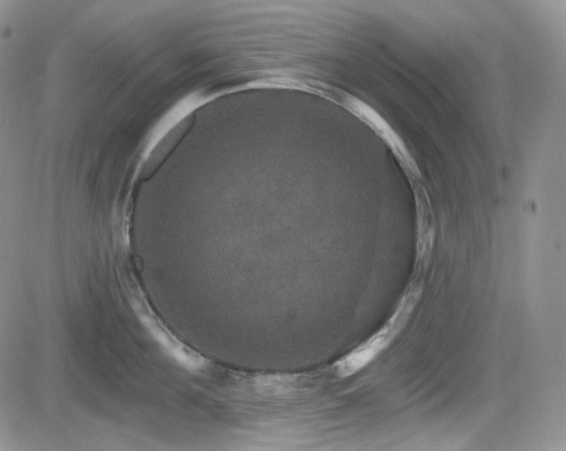 X0000084520908200702231131