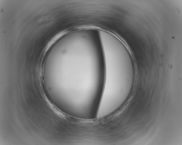 X0000084520909200702231131