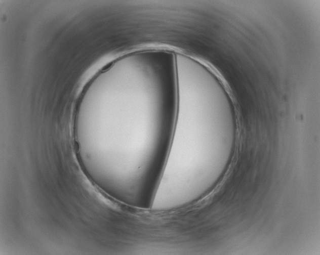 X0000084520910200702231131