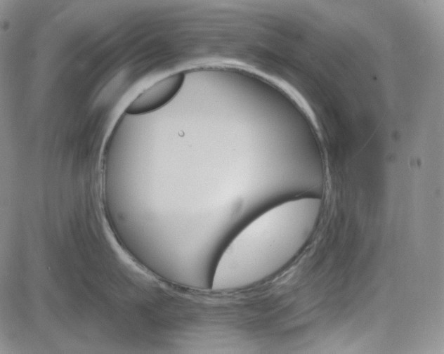 X0000084520911200702231131