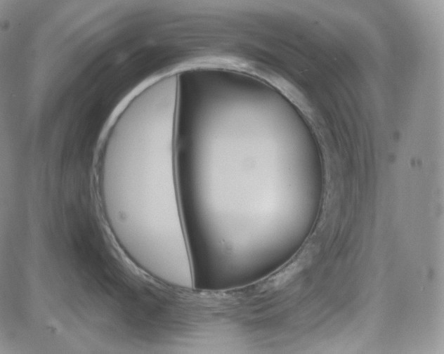 X0000084520912200702231131