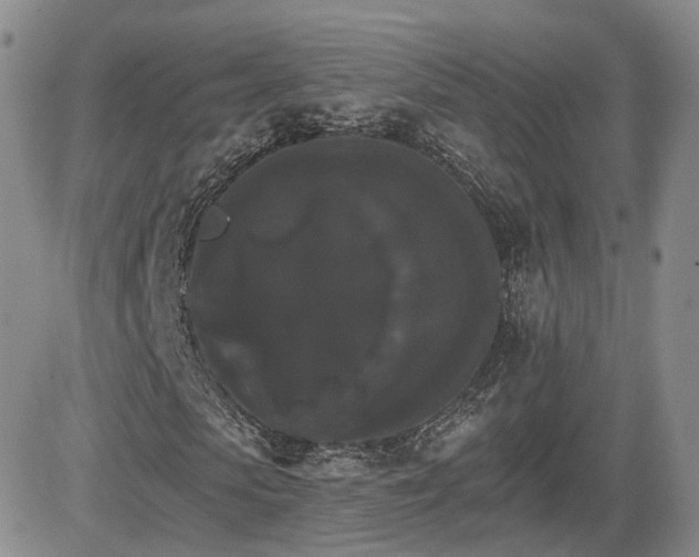 X0000084520913200702231130