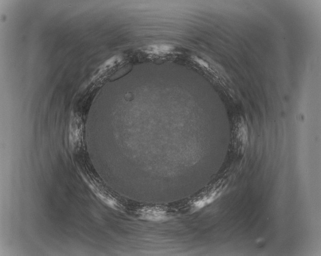 X0000084520914200702231130