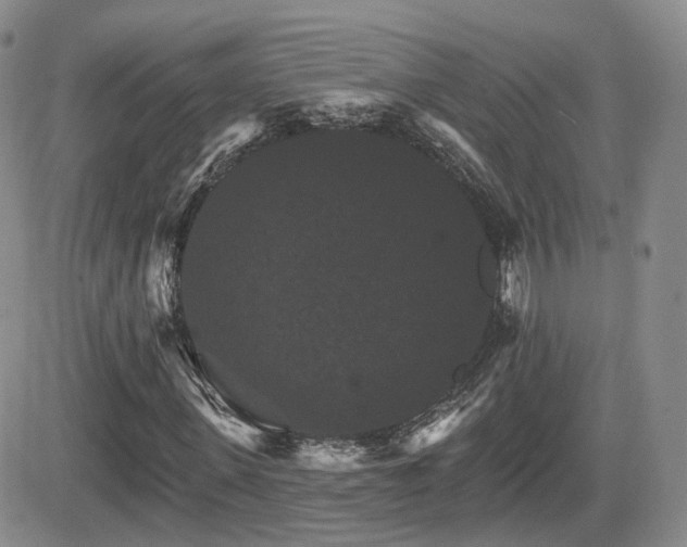 X0000084520915200702231130