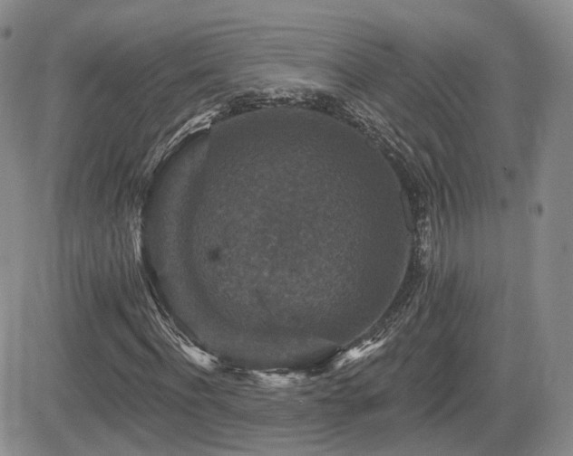 X0000084520916200702231130