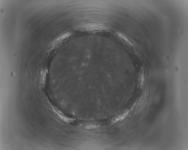 X0000084520917200702231130